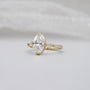 Three stone diamond ring with hidden halo