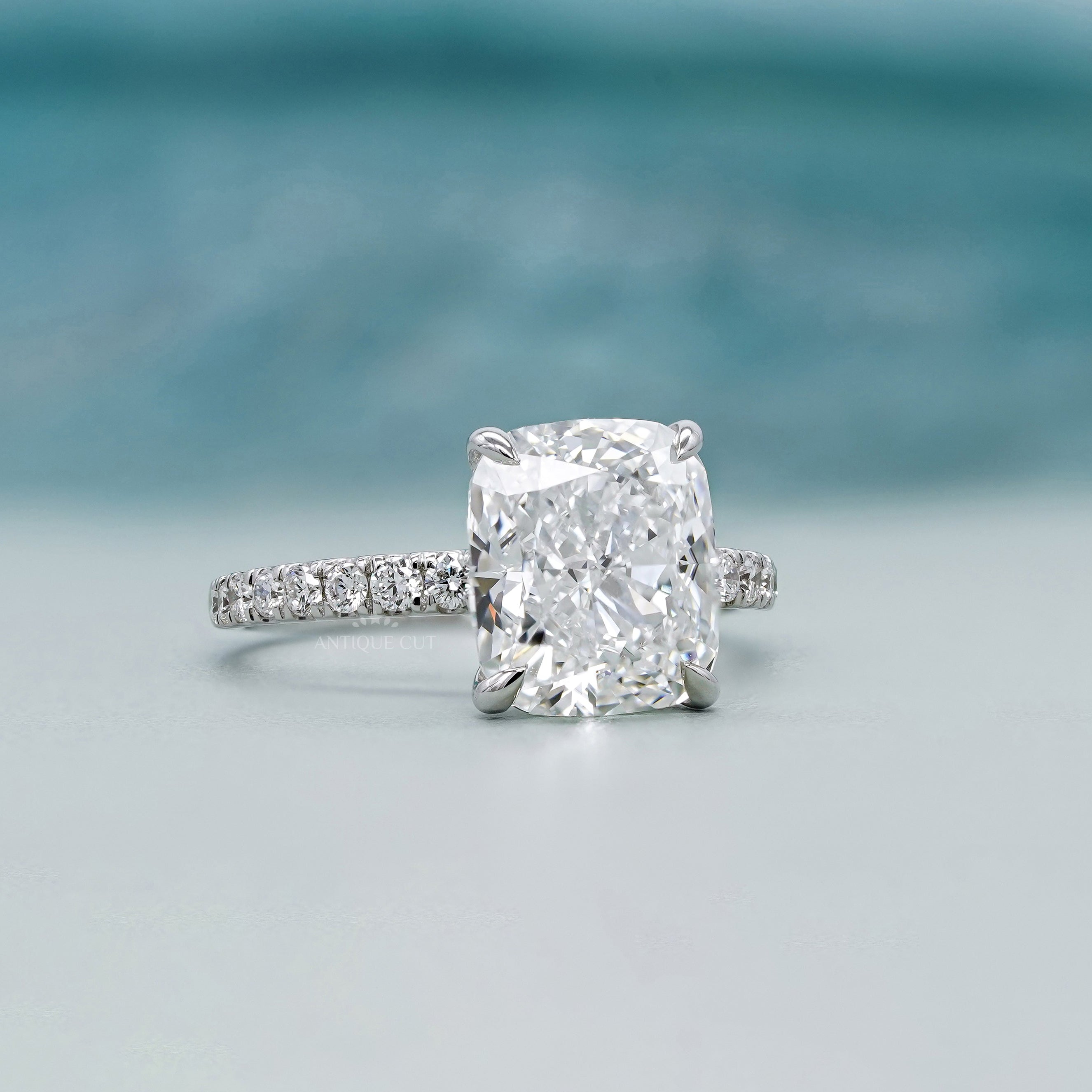 White gold cushion cut hidden halo ring pave band