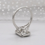 10k White Gold, 14k White Gold, 18k White Gold, Platinum