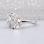 10k White Gold, 14k White Gold, 18k White Gold, Platinum