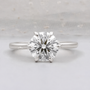 10k White Gold, 14k White Gold, 18k White Gold, Platinum