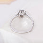 10k White Gold, 14k White Gold, 18k White Gold, Platinum