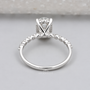 10k White Gold, 14k White Gold, 18k White Gold, Platinum