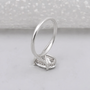 10k White Gold, 14k White Gold, 18k White Gold, Platinum