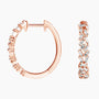 #Color_Rose Gold