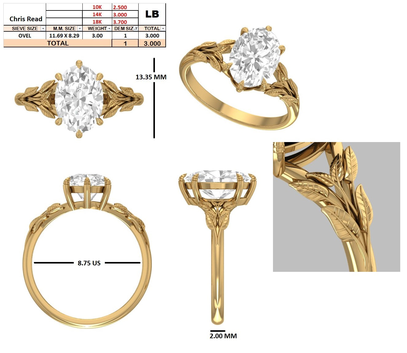 Custom Order - Chris Read | 3ct Oval | Color and Clarity | 14k Yellow gold | Ring size - 8.75  | Additional Payment