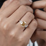 10k Yellow Gold, 14k Yellow Gold, 18k Yellow Gold