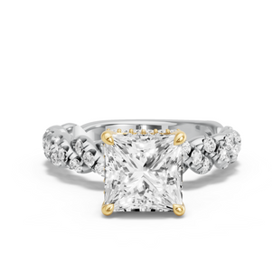 Image for Princess Dual Halo Ring with Twist Pave band