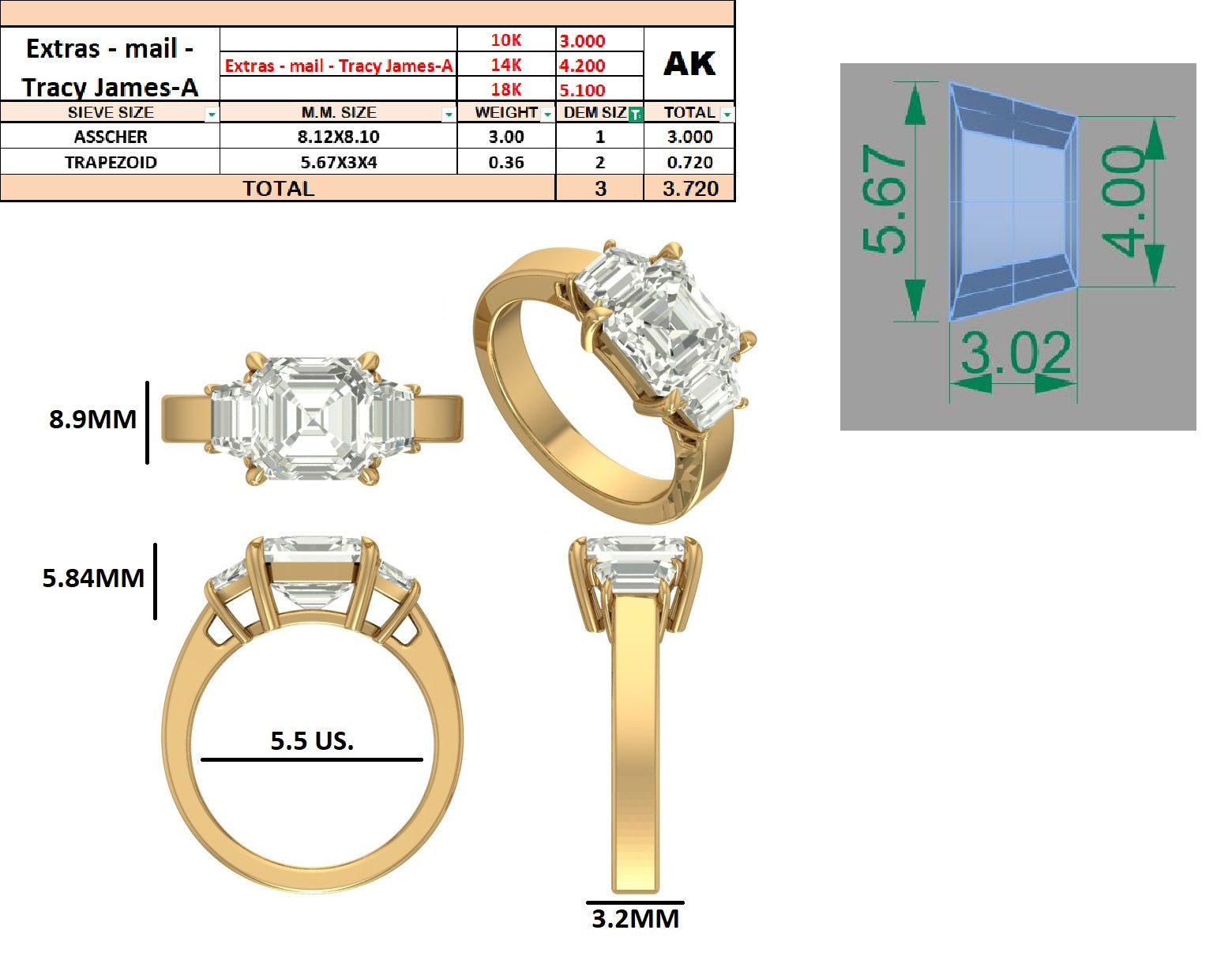 Custom Order - Tracy James | 3ct Asscher Center | E/VS1 | 14K Yellow Gold | Ring Size: 5.5 | band width - 3.2mm flat/squared