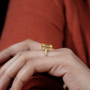 10k Yellow Gold, 14k Yellow Gold, 18k Yellow Gold