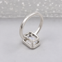 10k White Gold, 14k White Gold, 18k White Gold, Platinum