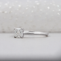 10k White Gold, 14k White Gold, 18k White Gold, Platinum