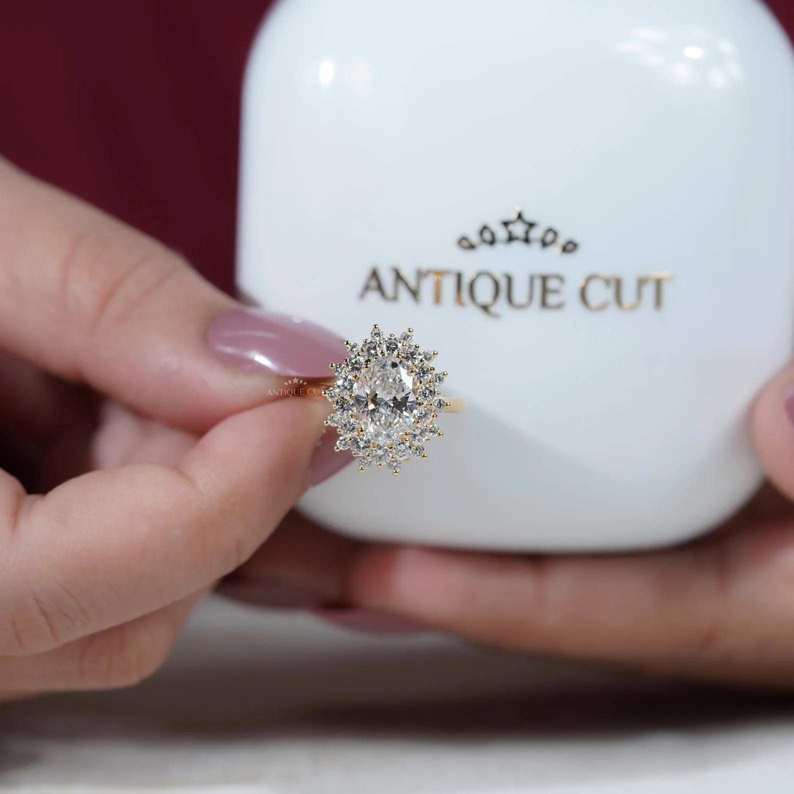 3.00TCW Oval Diamond Engagement Ring, Round Halo, Lab Diamond Ring | IGI Certified D-E-F VVS-VS.