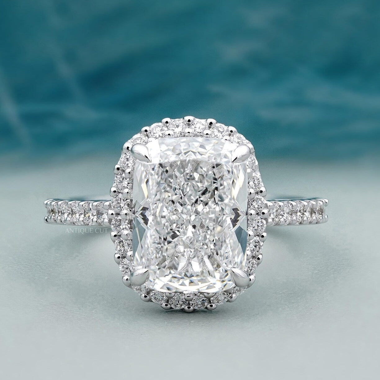 Cushion halo engagement ring in white gold with pave band