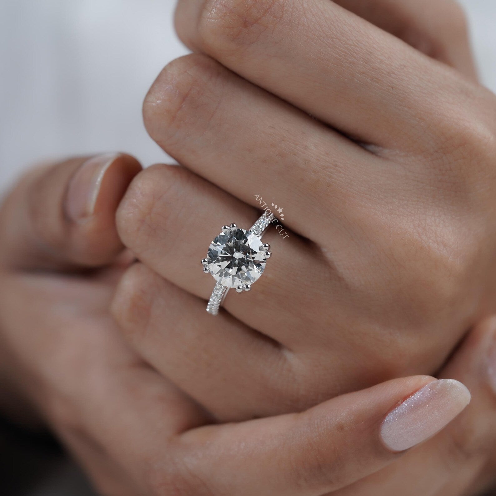 Round Cut Engagement Ring | Pave Diamond Band Double Claw Prong in White Gold