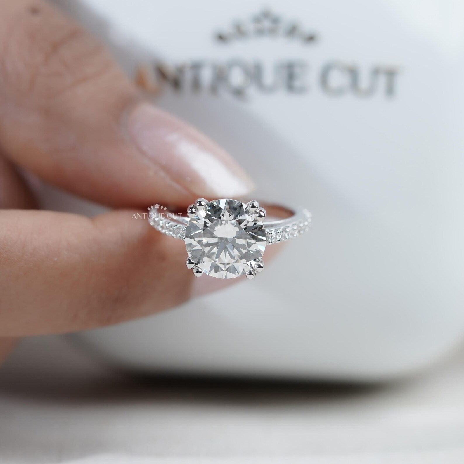 Round Cut Engagement Ring | Pave Diamond Band Double Claw Prong in White Gold