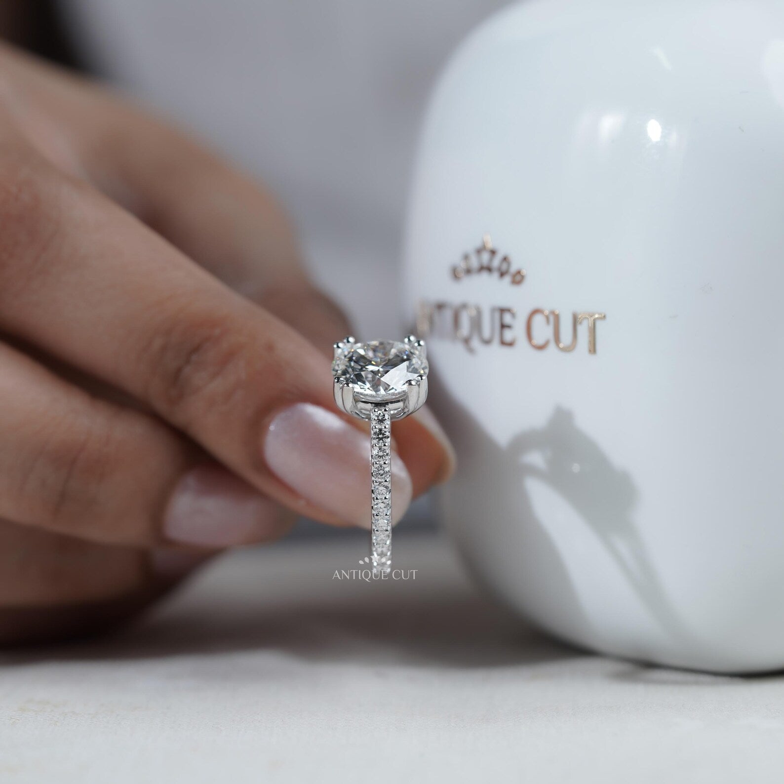 Round Cut Engagement Ring | Pave Diamond Band Double Claw Prong in White Gold