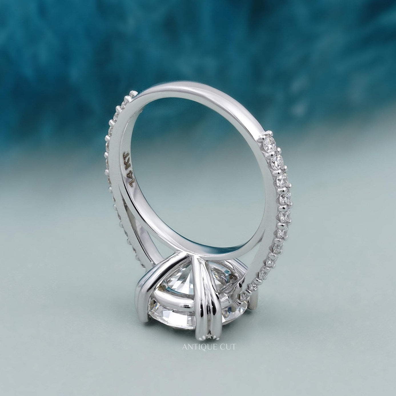 Round Cut Engagement Ring | Pave Diamond Band Double Claw Prong in White Gold
