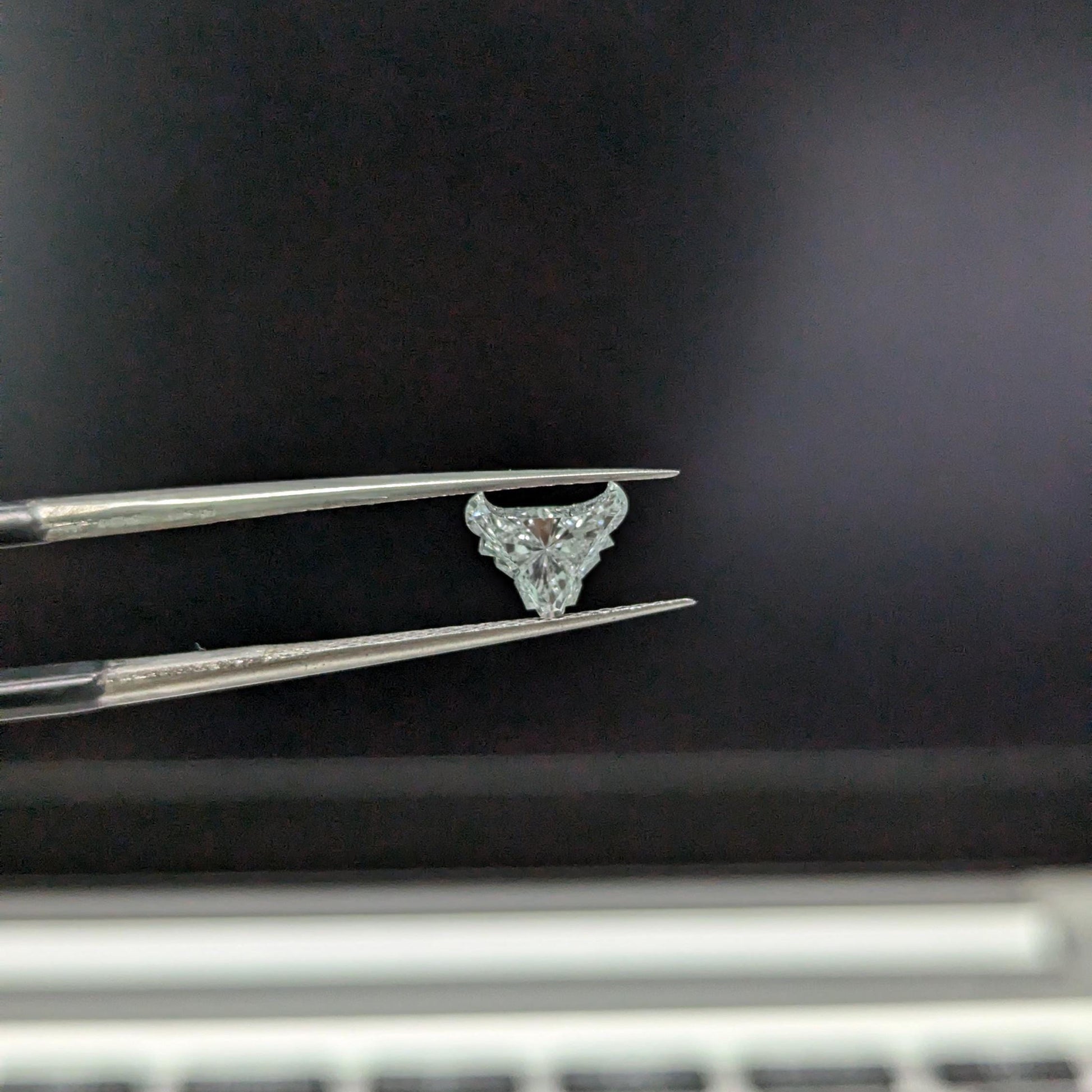 Bull Shape 1.00ct Lab Grown Diamond, Unique Shape Diamond, EF Color, VS Clarity, IGI Certified