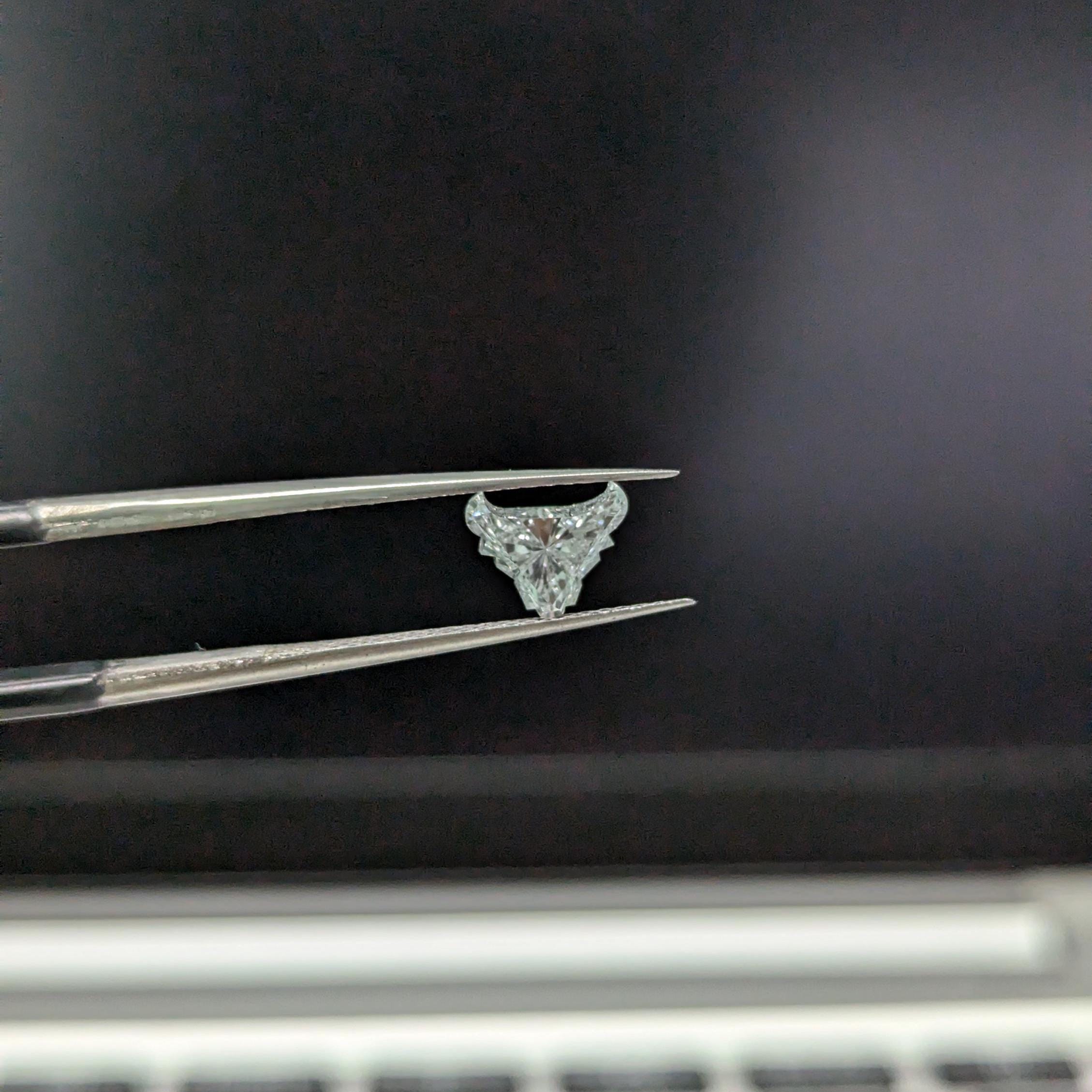 Bull Shape 1.00ct Lab Grown Diamond, Unique Shape Diamond, EF Color, VS Clarity, IGI Certified