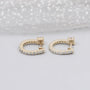 Luxury round diamond hoop earrings for women